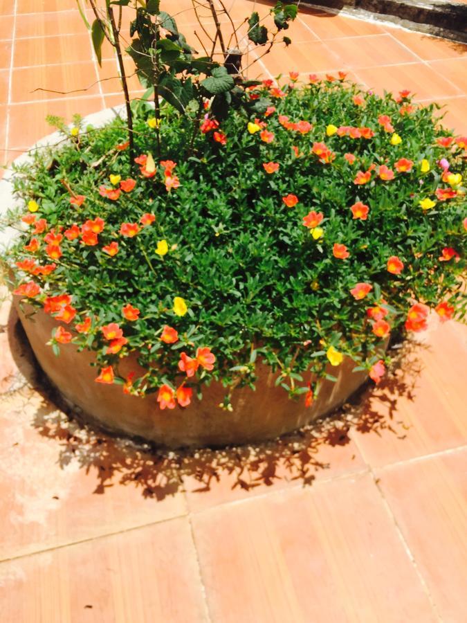Hotel An Nhien บวนมาถวต ภายนอก รูปภาพ