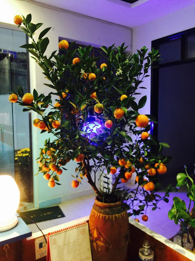 Hotel An Nhien บวนมาถวต ภายนอก รูปภาพ