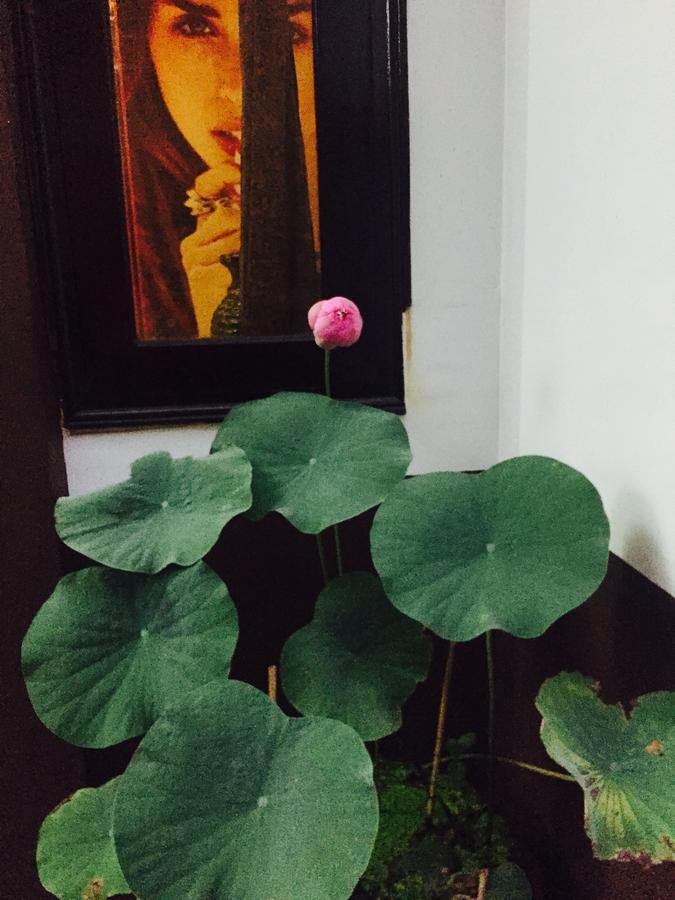 Hotel An Nhien บวนมาถวต ภายนอก รูปภาพ